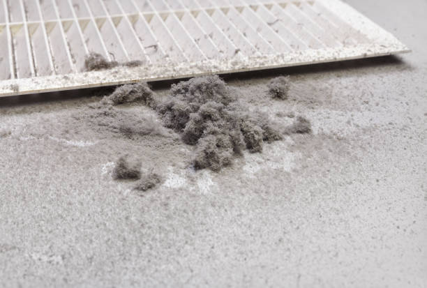 Best Affordable Air Duct Cleaning  in Oswego, IL